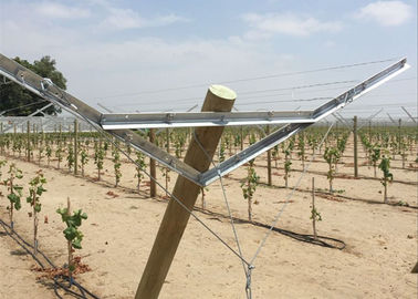 Grape Manor Vineyard Trellis Systems Reduced Installation And Setup Costs