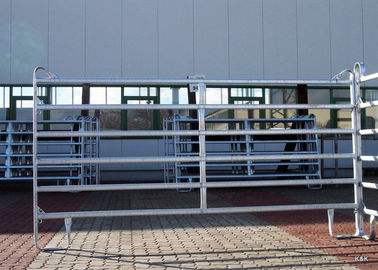 Portable Cattle Fence Panels Round OD 38MM 1.8X2.2 Meter For Livestock Farm