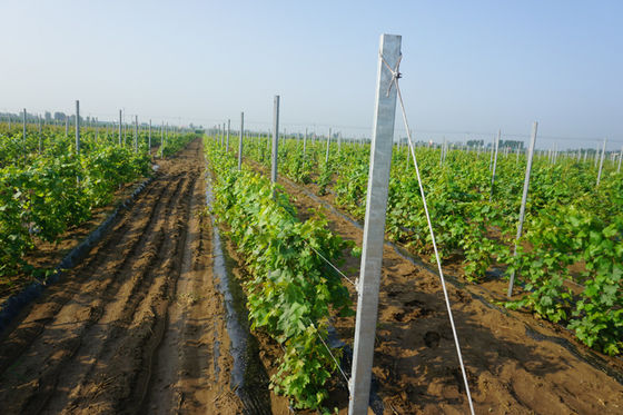 8ft 활성화한 Ｈ 홀 형태 2 밀리미터 일터 격자형 기둥들