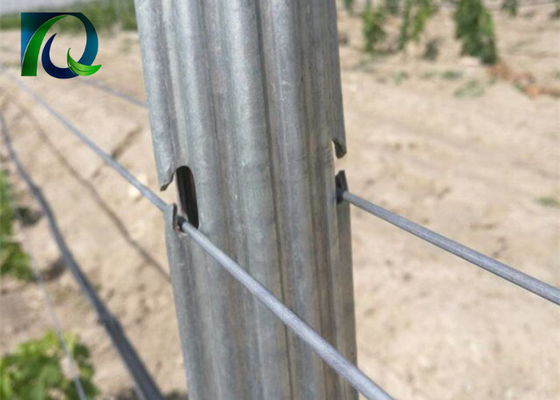 1.6-3.0MM 와이어를 위한 철강 금속 1.8m 일터 격자형 기둥들